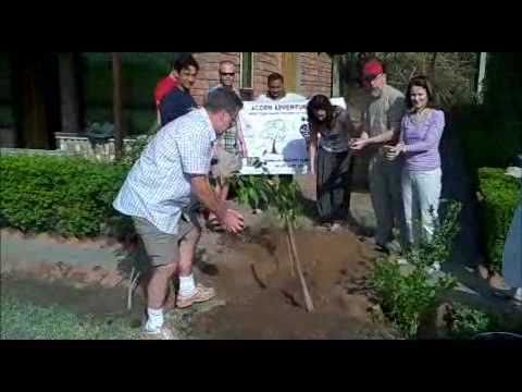 Acorn Adventures Group Offsetting Their Carbon Footprints