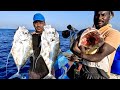 Catching grouper fish diamond trevally fish  mahi mahi fish in the sea