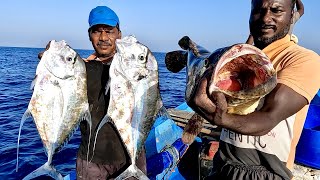 Catching Grouper Fish, Diamond Trevally Fish & Mahi Mahi Fish in the Sea