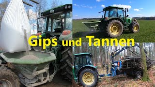 Gips Und Tannen