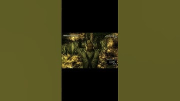 MGS3 Remake better be this detailed