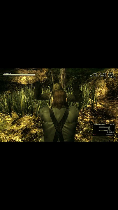 MGS3 Remake better be this detailed