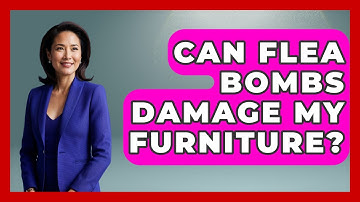 Can Flea Bombs Damage My Furniture? - Insects and Invaders