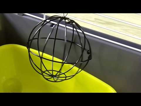 Comment aménager la cage pour son lapin