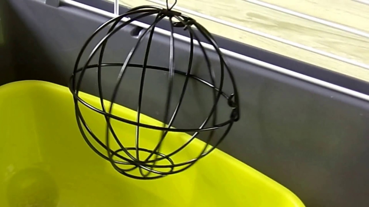 Comment aménager la cage pour son lapin