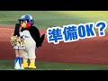 つば九郎🐧がdianaと踊るベイスターズスターティングラインナップ 2024/07/03
