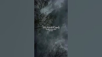 اكتب شيئ تؤجر عليه 🤍😴 #القارئ #المصحف #قرآن #yasseraldossary #ياسر_الدوسري #quran