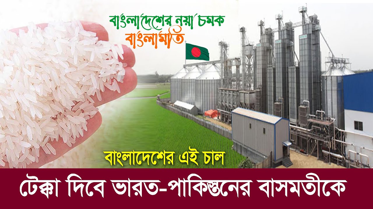 Banglamoti Rice বাংলাদেশের নয়া চমক বাংলামতি !! যা টেক্কা দিবে ভারত ও পাকিস্তানের ...