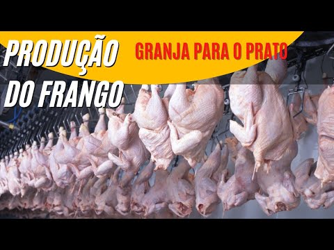 Vídeo: Como funcionam a depenagem e a abrasão?