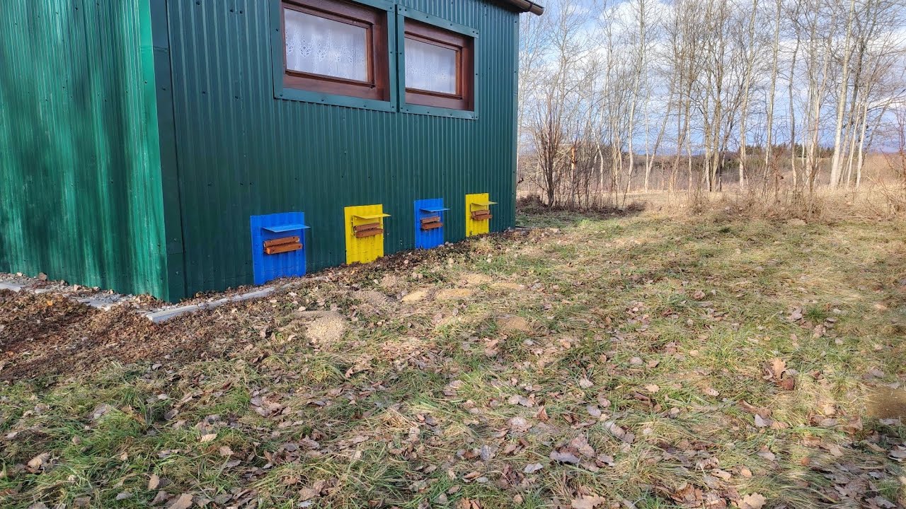 Jaki osyp w styczniu na dennicy🐝🤔