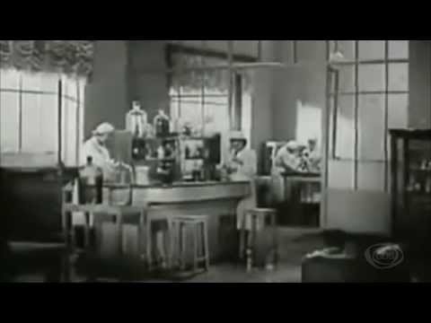 GD პედია - ნია ჭინჭარაული - სკინერის ყუთი