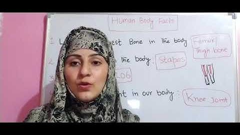 JKSSB CLASS IV 2020 /SCIENCE - HUMAN BODY FACTS 01/ PANCHAYAT ACCOUNTS ASSISTANT 2020 BASIC LEVEL.