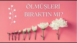 Ai̇le Di̇zi̇mi̇ Ankara - Ölmüşleri̇ Biraktin Mi ?