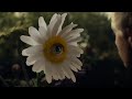 Ryan Caraveo - Daisies (Official Video)
