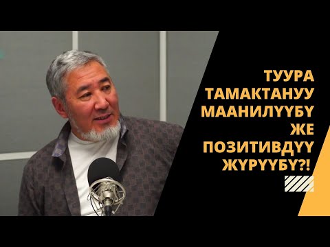 Video: Күчүктүн муктаждыктары үчүн туура ит төшөгүн кантип табууга болот