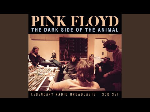 Shine On You Crazy Diamond (Parts I-V)