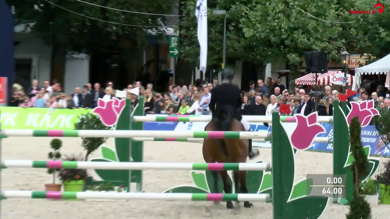 Davino Q Paderborn, Nr 6