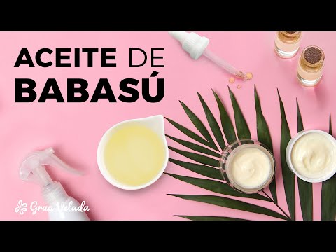 Video: ¿Dónde está la palma de babasú?