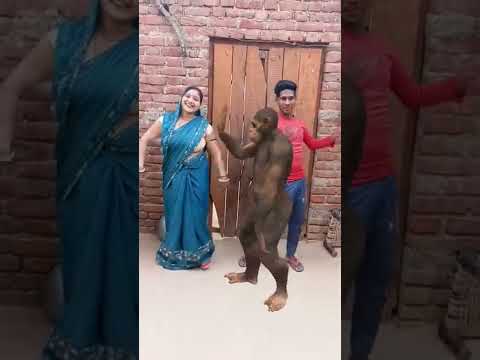 Monkey ke sath dance by you #shorts #trending #viral