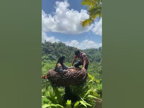 Bali Swing #bali #baliindonesia #balitourism #baliswing 