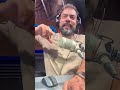 انجي صعبة المنال 