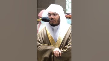 آيات من الذكر الحكيم🌼 | تلاوات عطرة ٨٣🥺✨🌹