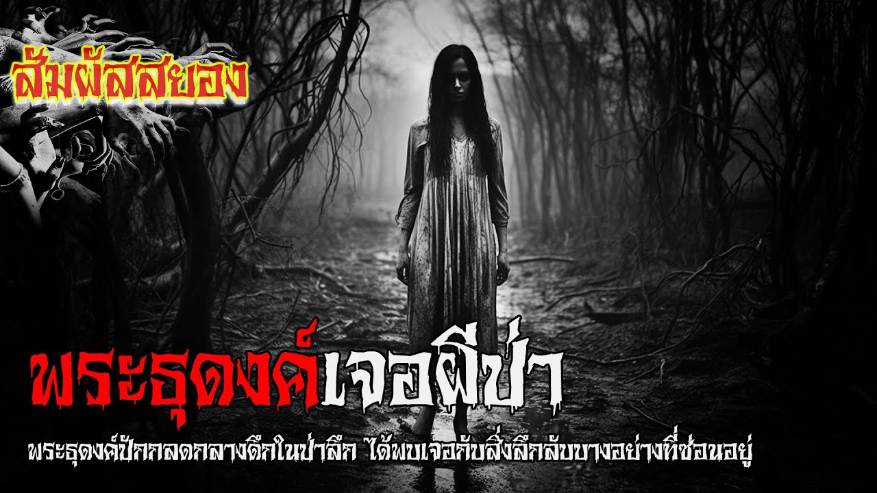 EP.855 | พระเจอผีป่า | พระธุดงค์ปักกลดในป่าลึก ได้พบเจอกับสิ่งลึกลับบางอย่าง | เรื่องผี | สัมผัสสยอง