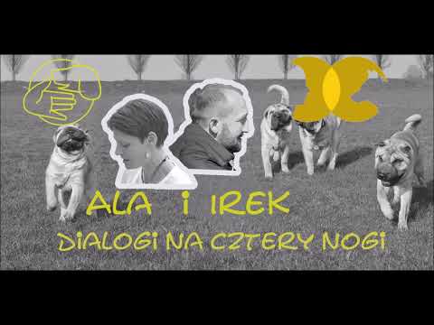 Wideo: ClpP Bierze Udział W Tolerancji Na Stres, Tworzeniu Biofilmu, Tolerancji Na środki Przeciwdrobnoustrojowe I Wirulencji Enterococcus Faecalis