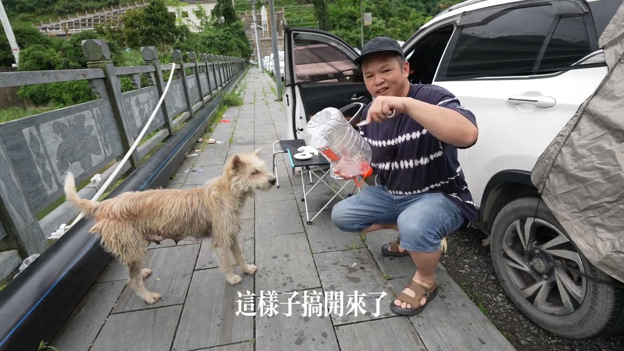 露宿橋上，被人類拋棄的流浪貓狗太可憐了，煮麵條給貓狗吃