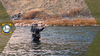 कटस्लैम रिकॉर्ड screenshot 4