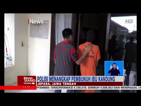 Video: Pria Florida Bersatu Kembali Dengan Burungnya Yang Hilang