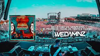 El Profesor, HUGEL vs. Tiesto & Tujamo - Bella Ciao vs. Grapevine (WeDamnz Mashup)