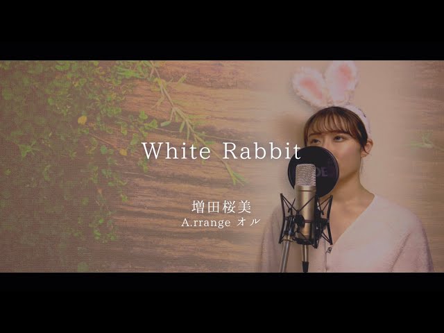作家　アーティスト　ナオミライト　うさぎ② Usakumya Muffler (2024) by Baby, the Stars Shine Bright