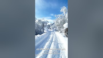 سمير بارود -سورة النجم