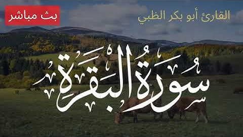سورة البقرة كاملة مكررة طاردة للجن والشياطين والسحر في كل مكان, بصوت ابو بكر الظبي، بدون اعلانات