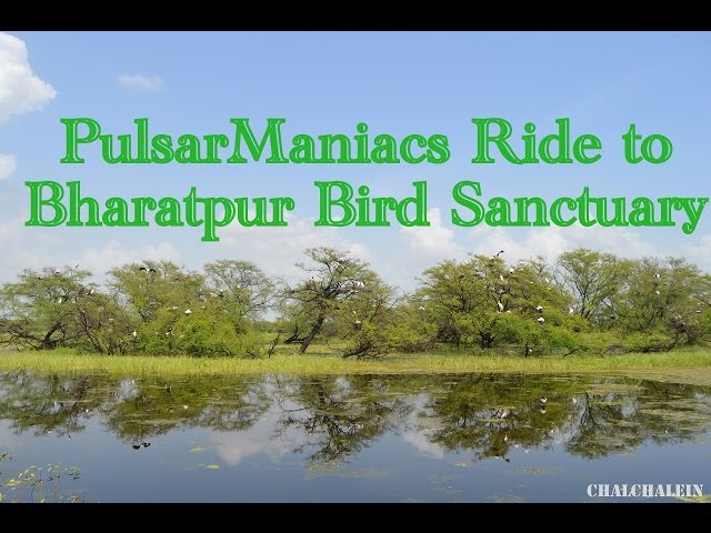 Ride to Bharatpur Bird Sanctuary(Keoladeo National Park)