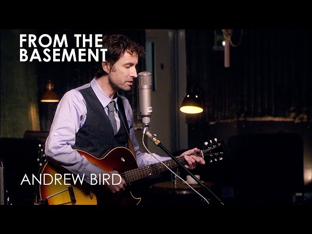 Andrew Bird - Tenuousness