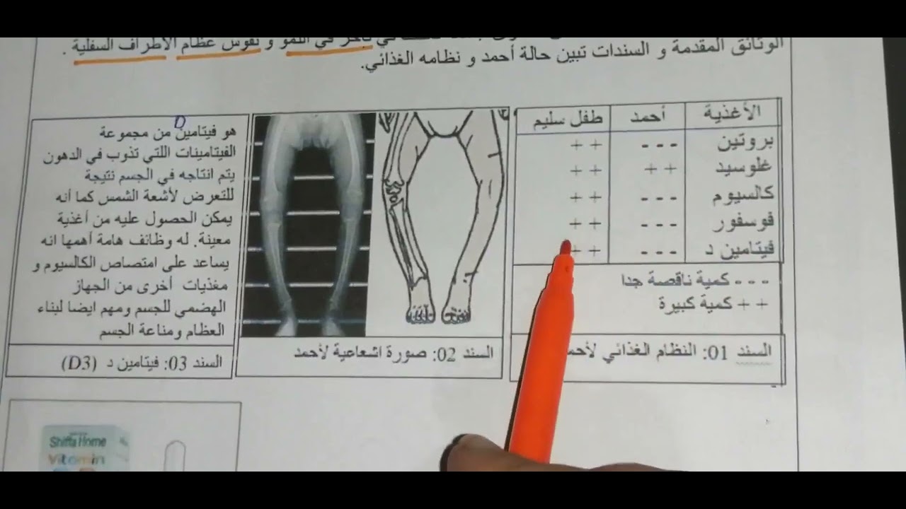 وضعية إدماجية مقترحة بقوة للإختبار الأول في العلوم الطبيعية السنة الرابعة متوسط