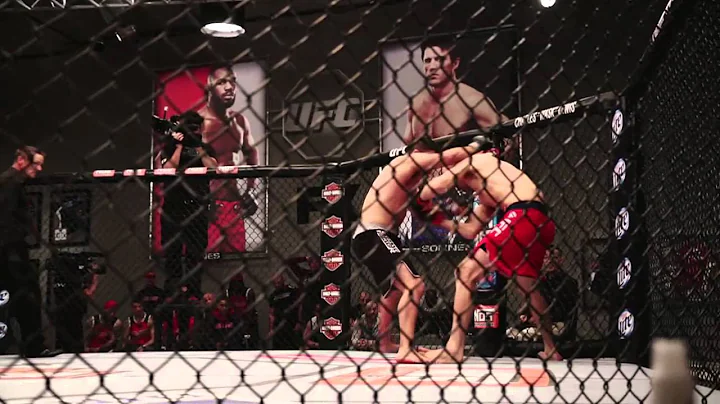 Ultimate Fighter: Power of 21