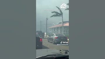 Maui wildfires turn family vacation 