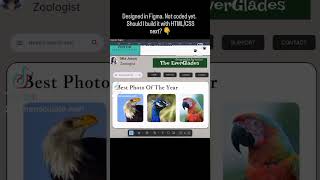 Wildlife Photography Website UI Design | Figma Timelapse