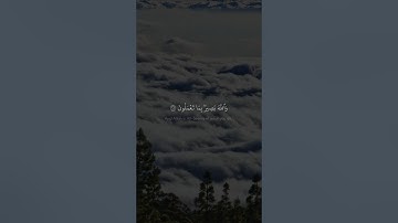 وَٱللَّهُ بَصِیرُۢ بِمَا تَعۡمَلُونَ | محمد صديق المنشاوي | سورة الحجرات و ق | نهاوند
