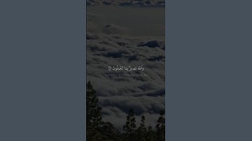 وَٱللَّهُ بَصِیرُۢ بِمَا تَعۡمَلُونَ | محمد صديق المنشاوي | سورة الحجرات و ق | نهاوند
