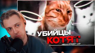 СТИНТ СМОТРИТ:Китайские Живодёры - Hello Street Cat