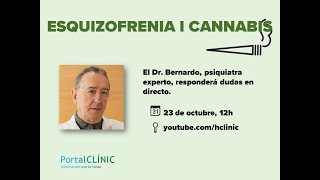 Esquizofrenia y Cannabis | PortalCLÍNIC