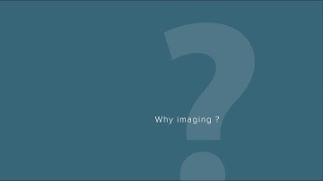 Why Imaging? Discover Why Imaging Creates Value For Your Preclinical Research | By Molecubes NV