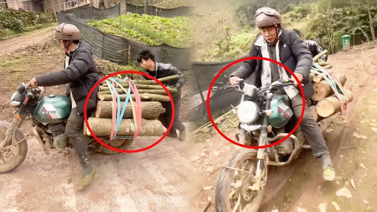 A highly skilled motorcyclist is riding along a cliffside path carrying 8,000 pounds of timber