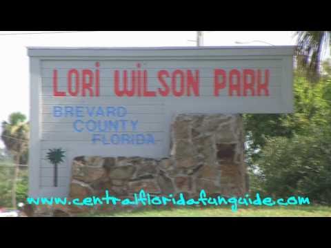 Lori Wilson Park.wmv