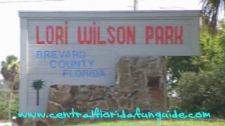 Lori Wilson Park.wmv