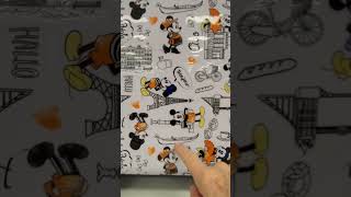 DISNEY MICKEY MOUSE AND MINNIE MOUSE WORLD TRAVELER LUGGAGE -PARIS VENICE HOLLAND ROME SCENES $49.99